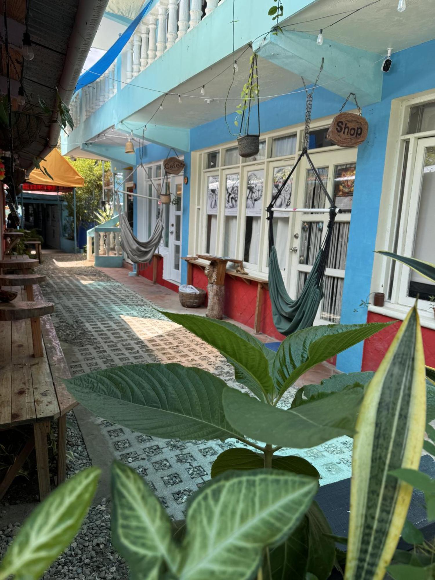 A Pousada Wing Camp Cabarete Exterior foto